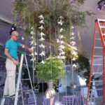 306247 10150701079538536 1955905681 N