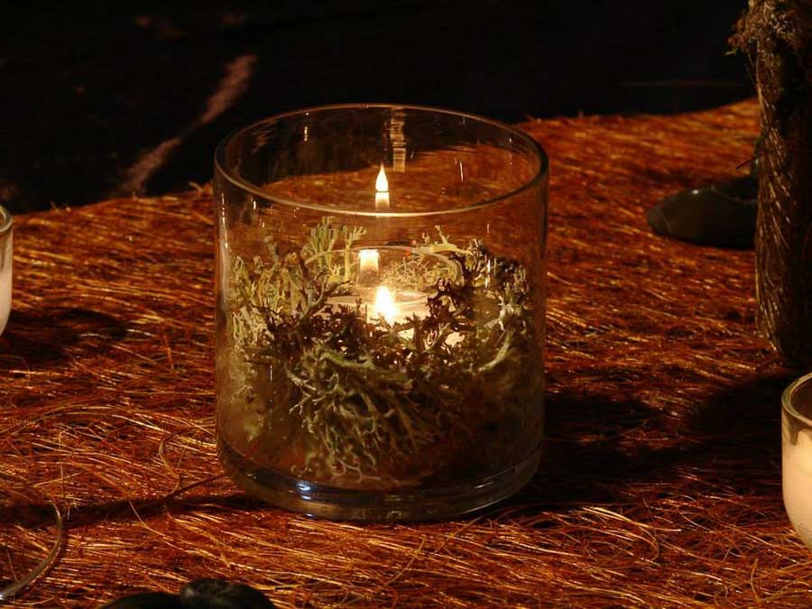 60 Lichen Candle Treatment Swamp Woodland Forest Theme Event Urban Earth Studios