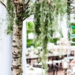 55 Natural-Outdoor-Wedding-Decor-Birch-Alder-Tree-Spanish-Moss