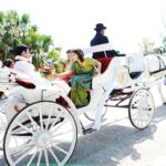 09 White-Horse-Drawn-Carriage-Groom's-Arrival