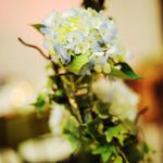 50 Blue-Hydrangea-Ivy-Spiral-Topiary