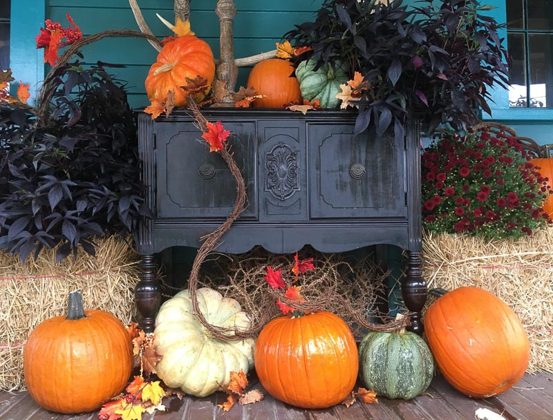 Urban Earth Halloween Decoration Services 103