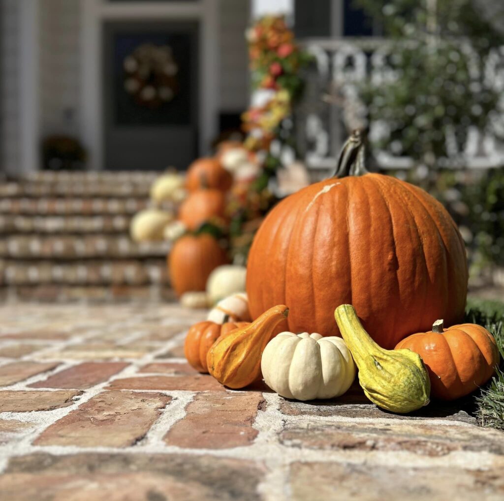 400243041 7129060453818718 7063023850850303310 N