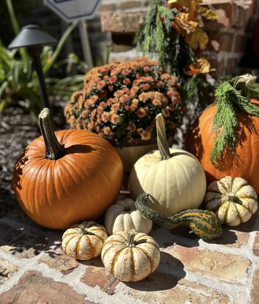 400438707 7129060813818682 2621604302844550042 N