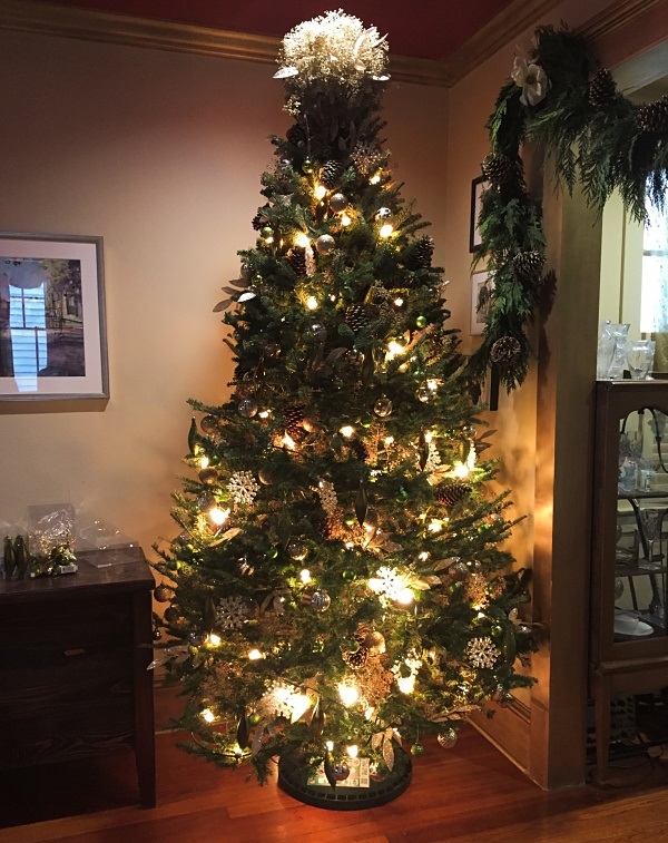 Img 3331 Warm Shadows Opt Crp Img 3331 Warm Shadows Opt Crp