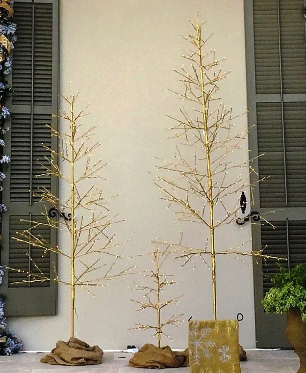 Img 9672 Crp Auto Adjust Trees Crp 2 Vivid Opt Img 9672 Crp Auto Adjust Trees Crp 2 Vivid Opt