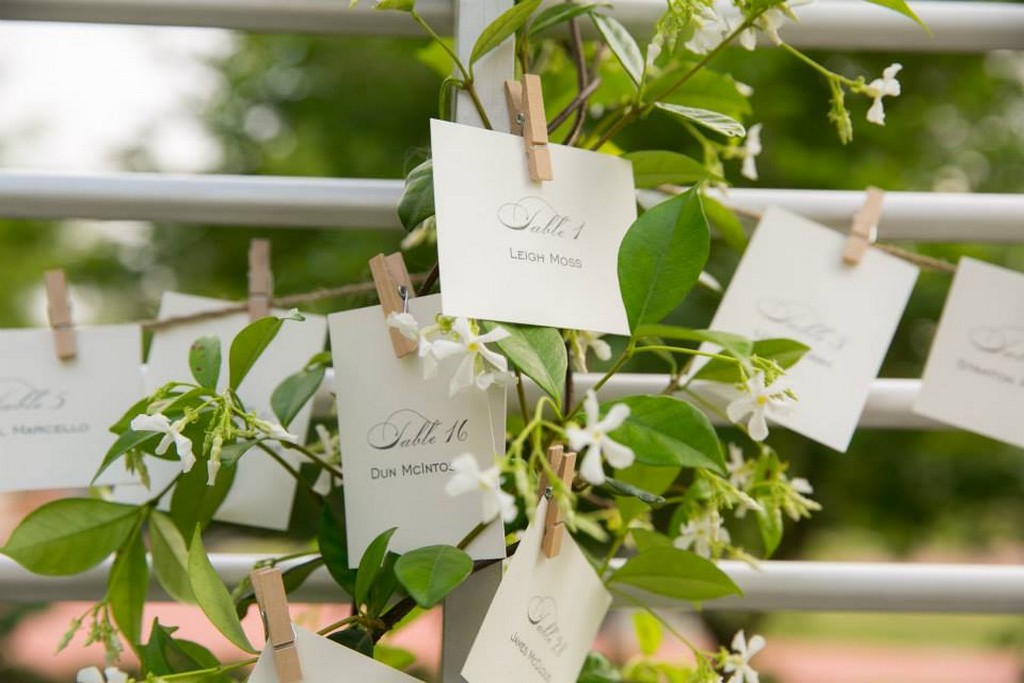 55 10645254 10152806247268536 4352824823072753284 N 55 10645254 10152806247268536 4352824823072753284 N