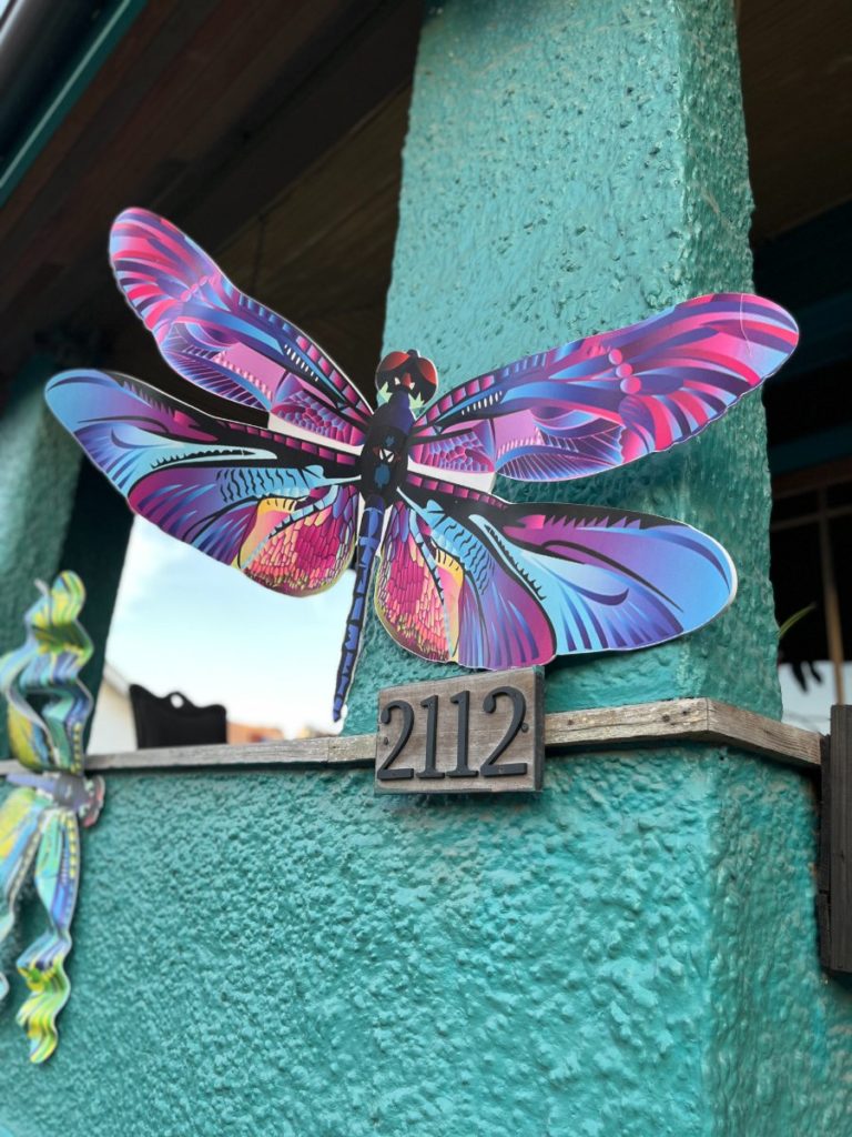 Water Proof Dragon Fly Mardi Gras House Float Decor