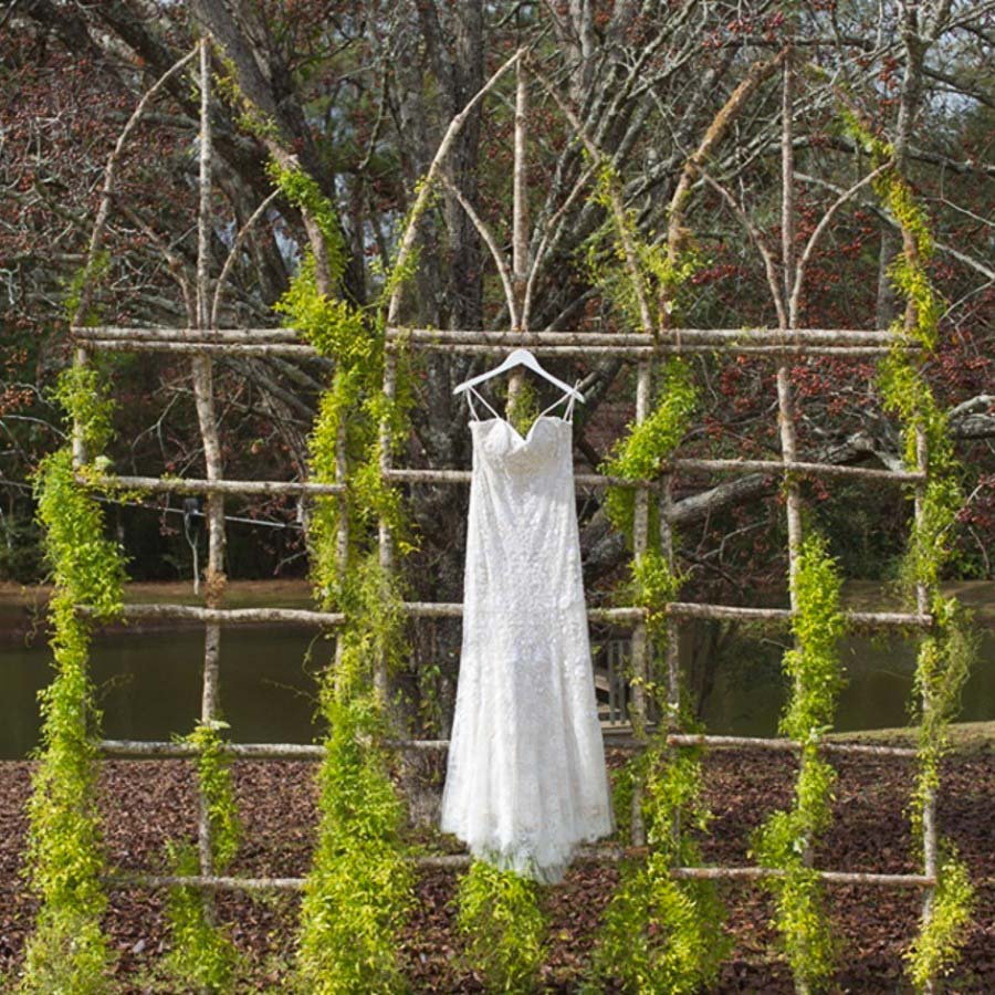 Birch Window Backdrop Birch Window Backdrop