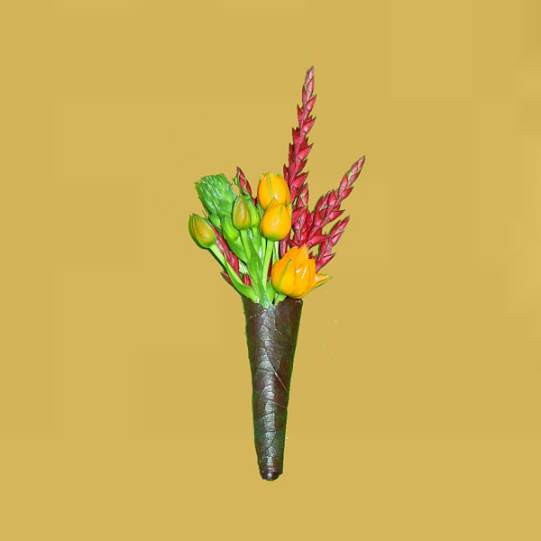 Bold Masculine & Modern Tropical Flower Boutonniere 27kb Opt