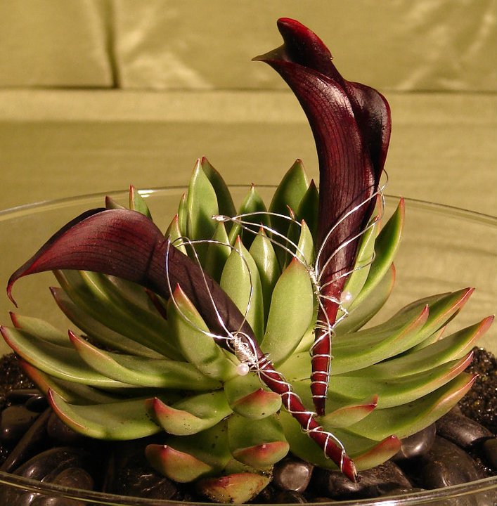 Burgundy Calla Lily With Sculpted Silver Jewelers Wire Leaf Boutonniere 105kb
