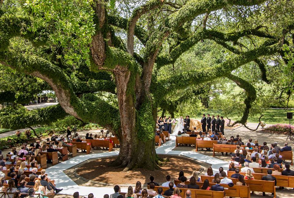 Creative Outdoor Wedding Ceremony Seating For Croughan Benedeto New Orleans Country Club Live Oak Southern Celebrations Magazine (2)