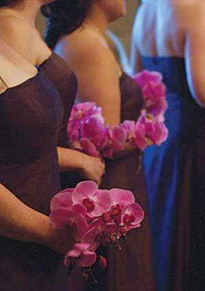 Maids Bouquets Of Bold Phaleanopsis Orchids Opt