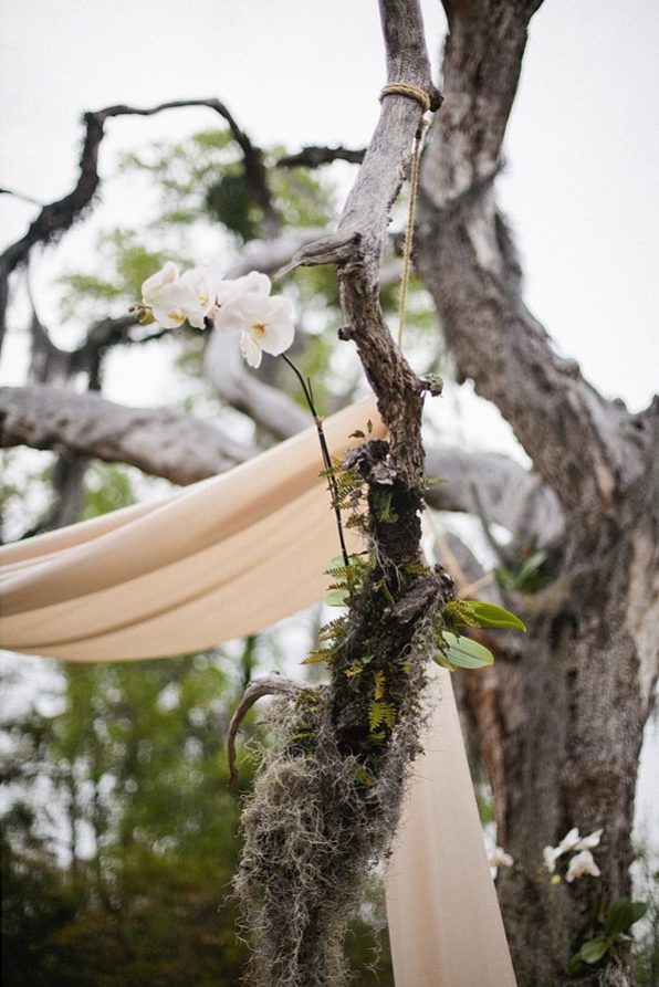 Natural Rustic Outdoor Chuppah Mounted Orchid Plants Detail Opt E1579555100945