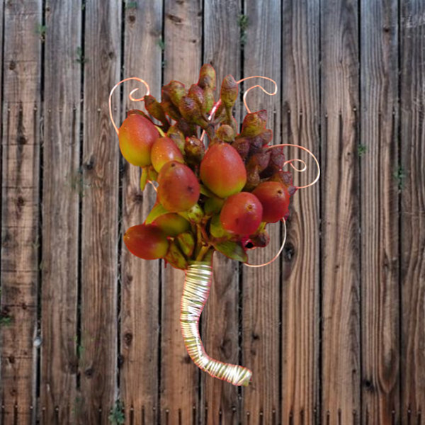 Rustic Hypericum With Gold Scroll Jewelers Wire Boutonniere Dli Crp Sq 91kb Opt Rustic Hypericum With Gold Scroll Jewelers Wire Boutonniere Dli Crp Sq 91kb Opt