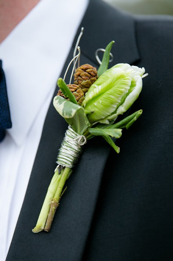 Super Parrot Cypress Pod Bout Urban Earth 70kb Opt Super Parrot Cypress Pod Bout Urban Earth 70kb Opt