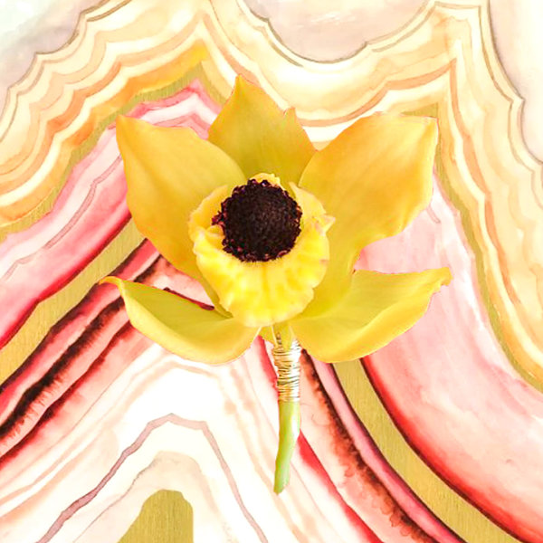 Yellow Cymbidium Orchid Lapel Pin On 89kb Opt Yellow Cymbidium Orchid Lapel Pin On 89kb Opt