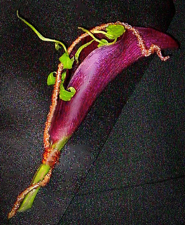 Copper Sculpted Vine With Eggplant Calla Lily Pin On Boutonniere Copper Sculpted Vine With Eggplant Calla Lily Pin On Boutonniere