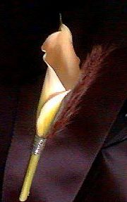 Purple Dried Fountain Grass Boutonniere Purple Dried Fountain Grass Boutonniere