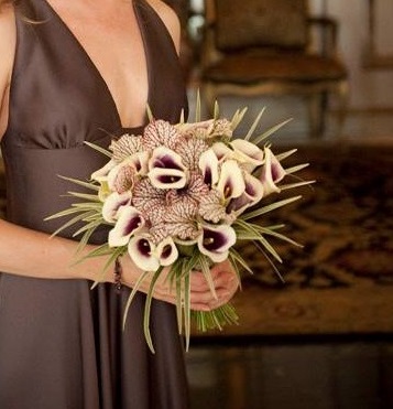 Sleek Modern But Natural Bouquet Of Saracena, Lily Grass, And Callas