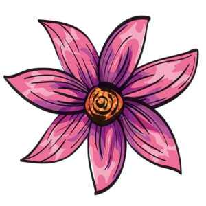 Pink Star Flower(ofw)