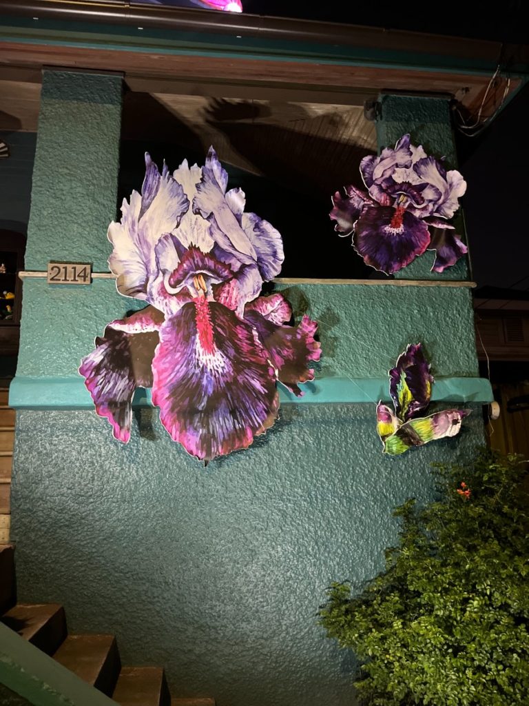 Lit Mardi Gras House Float Bearded Iris Flower Decor