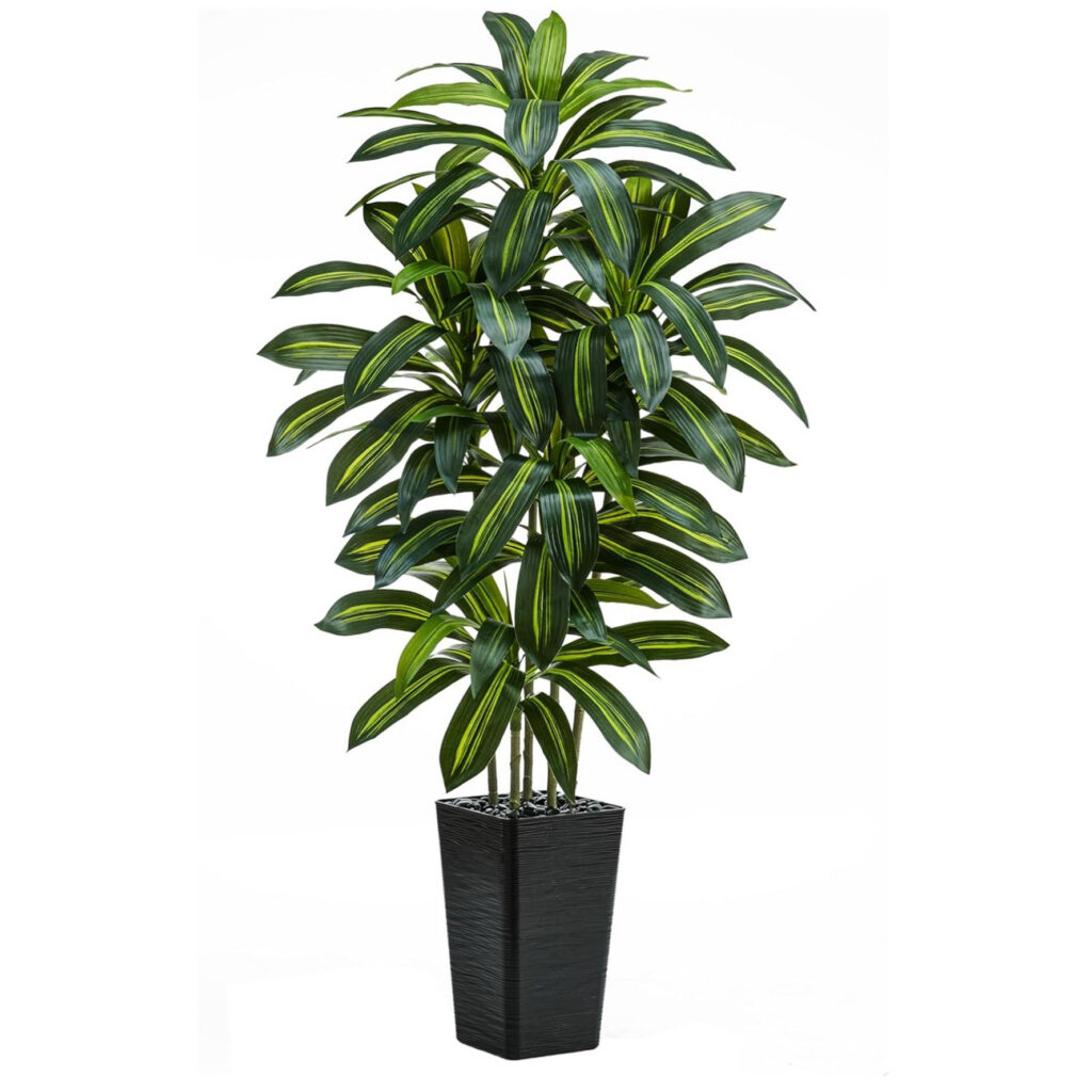 0 Artificial Yucca Variegated Dracaena Indoor Outdoor Plant 1 Sq Crp Jpeg 0 Artificial Yucca Variegated Dracaena Indoor Outdoor Plant 1 Sq Crp Jpeg