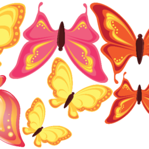 Butterfly Bright 4x8 Mini