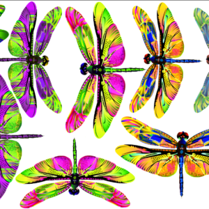Dragonflies 4x8 Mini